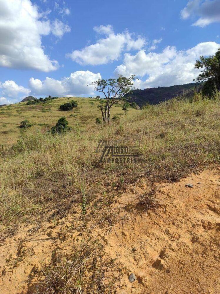 Sítio, 48 hectares - Foto 4