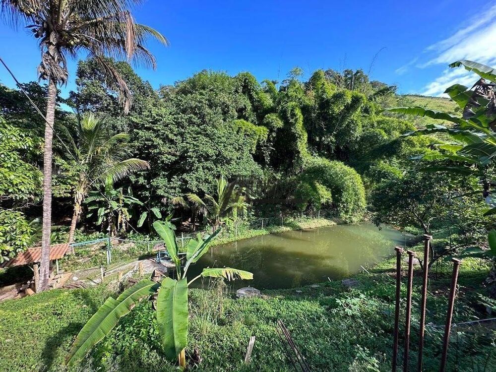 Chácara à venda, 5000M2 - Foto 3