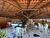 Chácara, 5000 m² - Foto 3