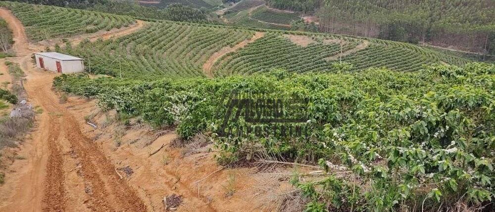 Fazenda-Sítio-Chácara, 145 hectares - Foto 17