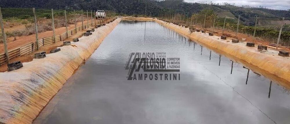 Fazenda-Sítio-Chácara, 145 hectares - Foto 19