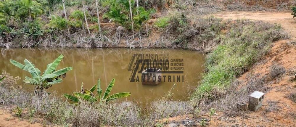 Fazenda-Sítio-Chácara, 145 hectares - Foto 2