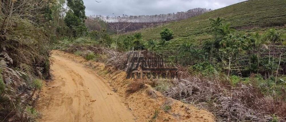 Fazenda-Sítio-Chácara, 145 hectares - Foto 8