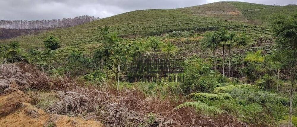 Fazenda-Sítio-Chácara, 145 hectares - Foto 9