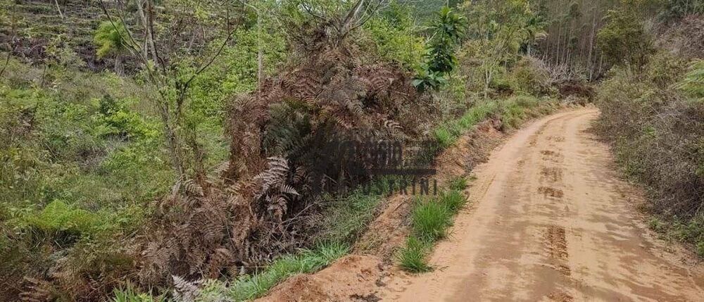 Fazenda-Sítio-Chácara, 145 hectares - Foto 3
