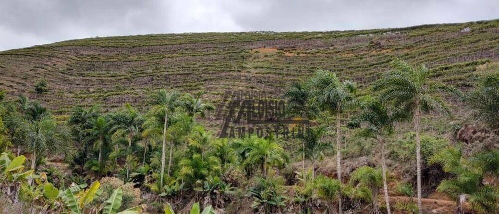 Fazenda-Sítio-Chácara, 145 hectares - Foto 1