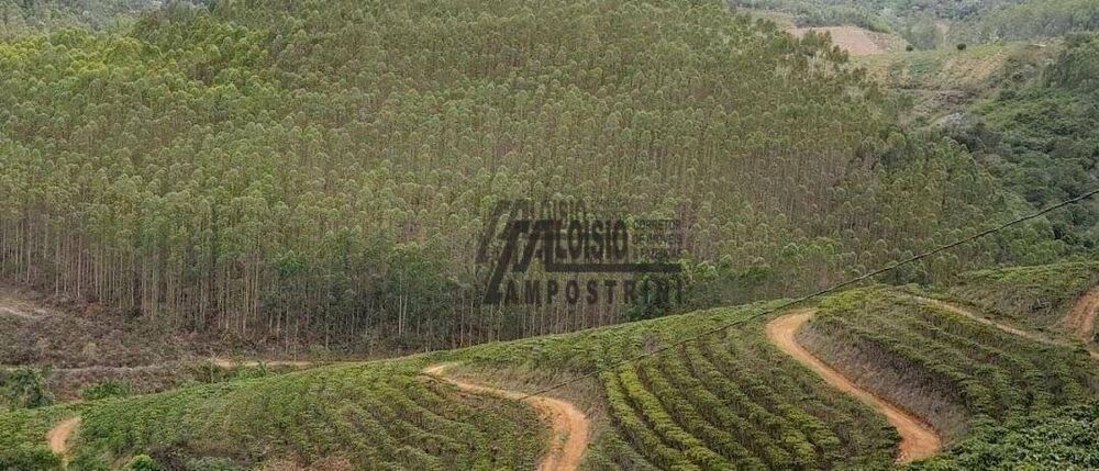 Fazenda-Sítio-Chácara, 145 hectares - Foto 15