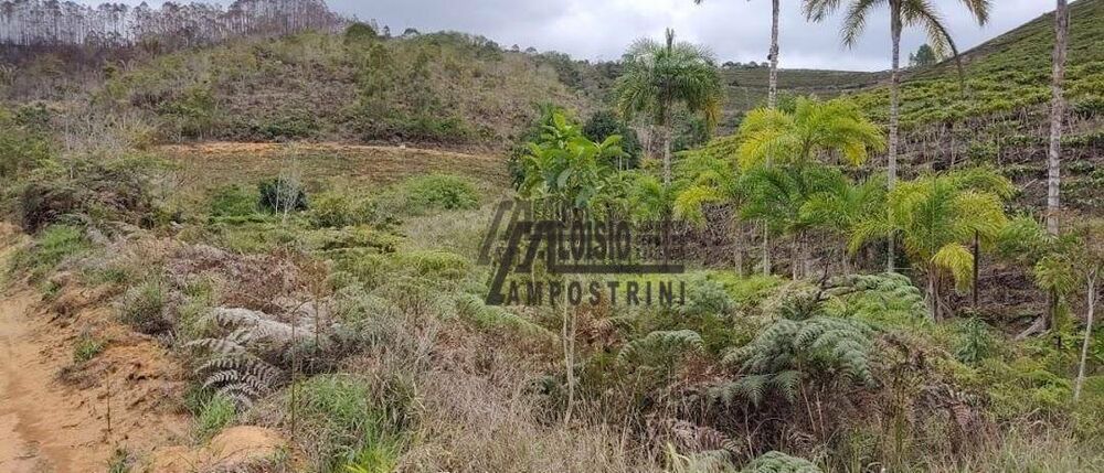 Fazenda-Sítio-Chácara, 145 hectares - Foto 7