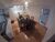Apartamento, 4 quartos, 160 m² - Foto 10
