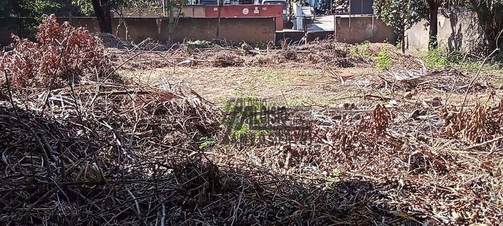 Terreno, 4200 m² - Foto 4