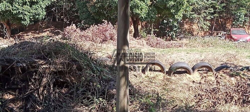 Terreno, 4200 m² - Foto 7