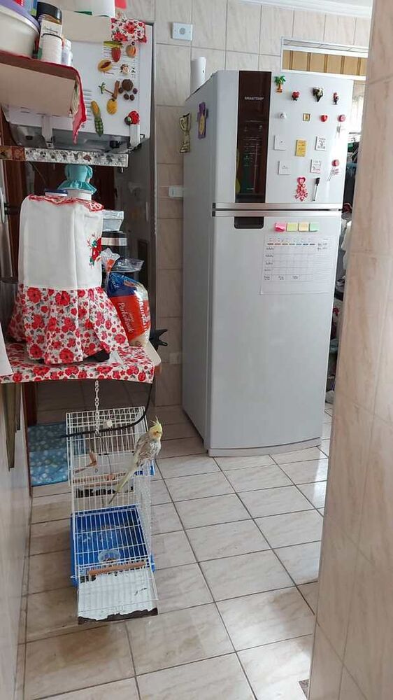 Apartamento, 3 quartos - Foto 10