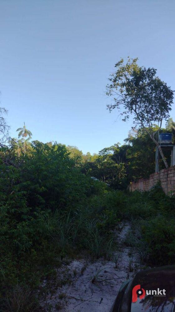 Terreno à venda, 2500M2 - Foto 3