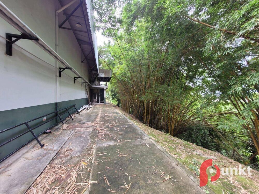 Depósito-Galpão-Armazém à venda e aluguel, 7400m² - Foto 5