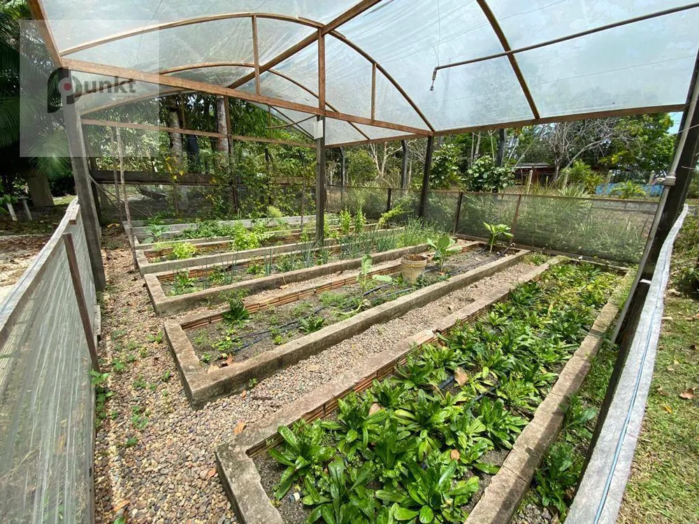 Chácara, 6 quartos, 1 hectares - Foto 14