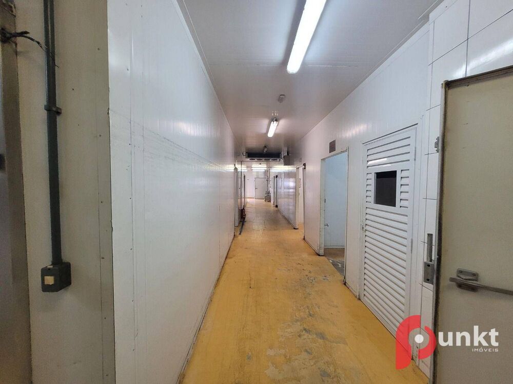 Depósito-Galpão, 1000 m² - Foto 3