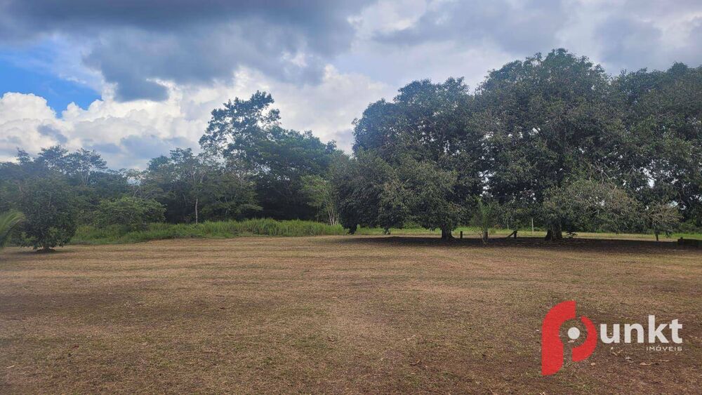 Terreno, 50 hectares - Foto 5