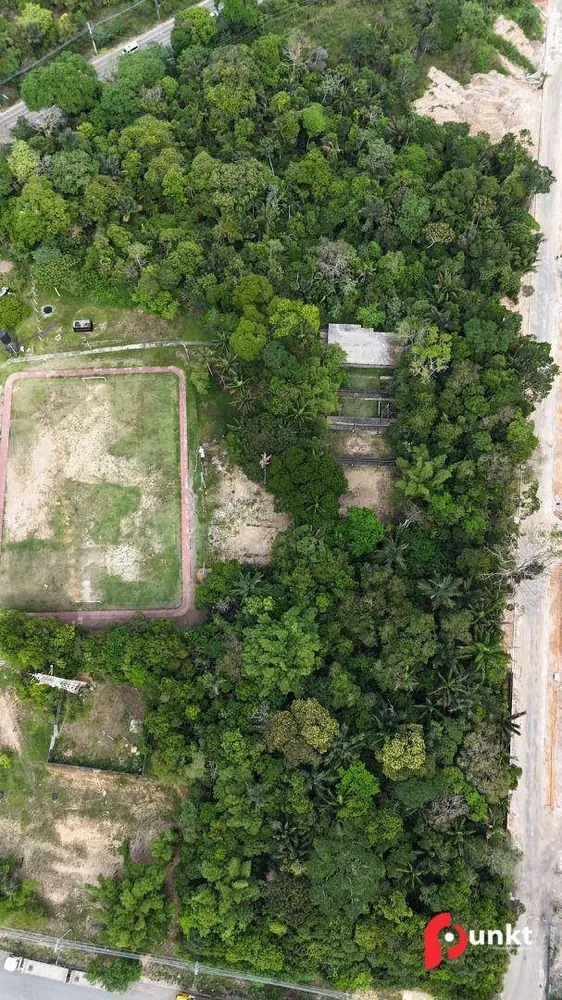 Terreno, 4 hectares - Foto 3