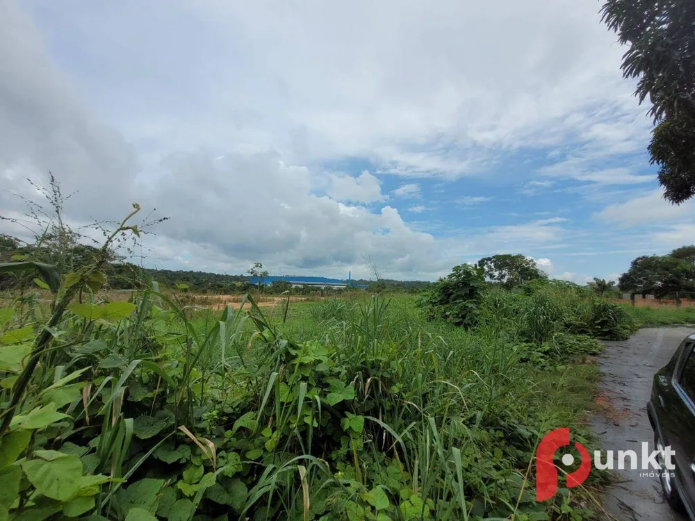 Terreno, 6 hectares - Foto 8