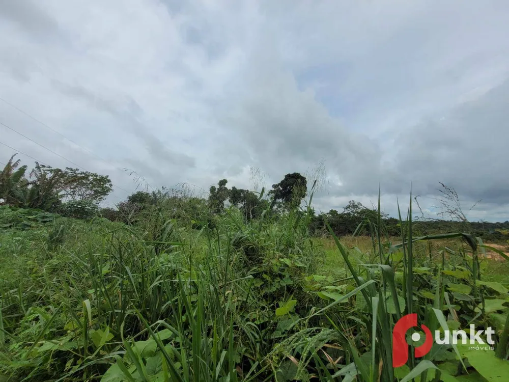 Terreno, 6 hectares - Foto 6