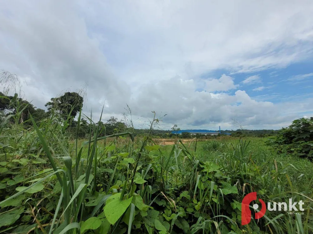 Terreno, 6 hectares - Foto 7