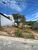 Terreno, 200 m² - Foto 2