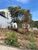 Terreno, 200 m² - Foto 3