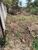 Terreno, 360 m² - Foto 3