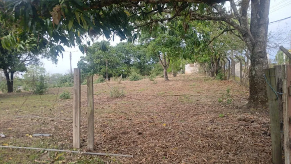 Chácara, 3 quartos, 5000 m² - Foto 4
