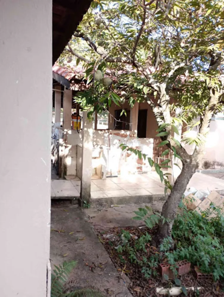 Chácara, 3 quartos, 7000 m² - Foto 3