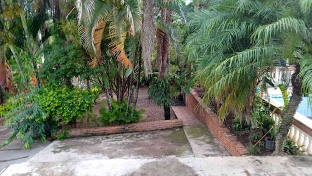 Chácara, 3 quartos, 10000 m² - Foto 8