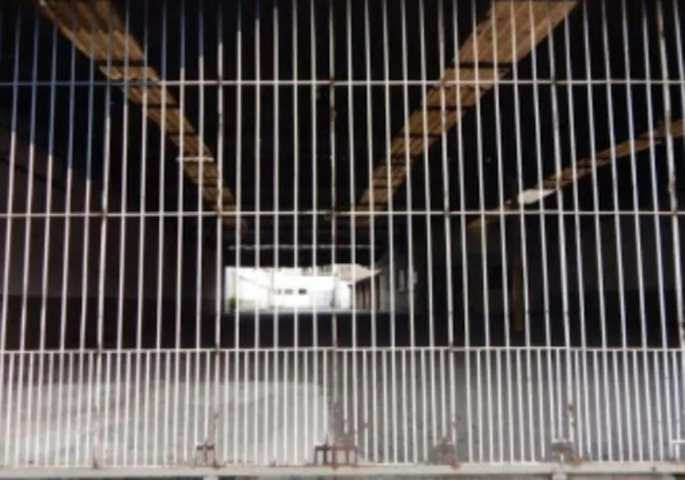 Loja-Salão, 576 m² - Foto 6