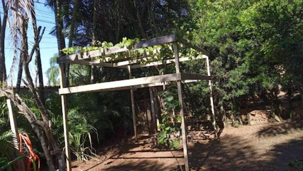 Chácara, 3 quartos, 10000 m² - Foto 2