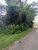 Terreno, 609 m² - Foto 3