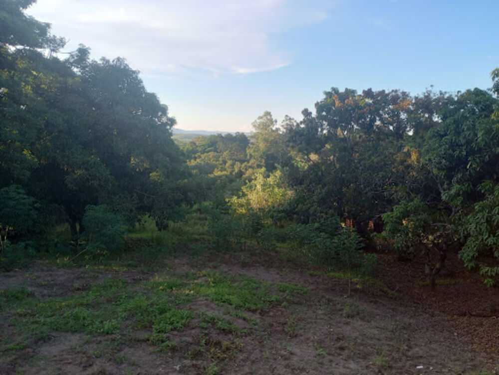 Chácara à venda com 3 quartos, 5800m² - Foto 4