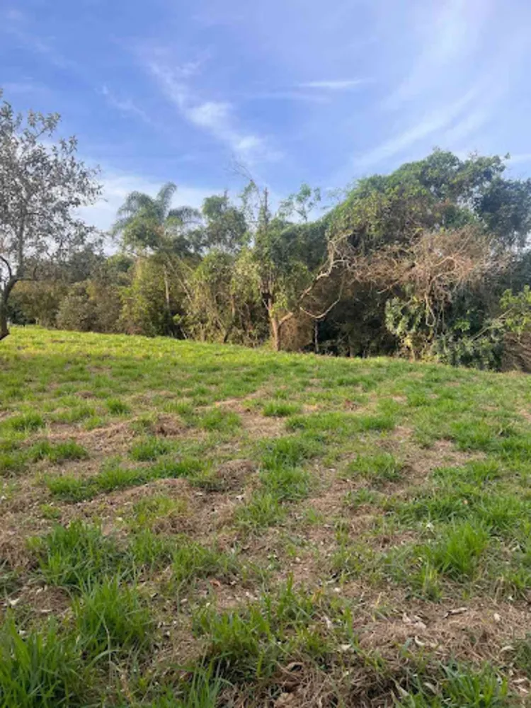 Terreno, 5000 m² - Foto 5