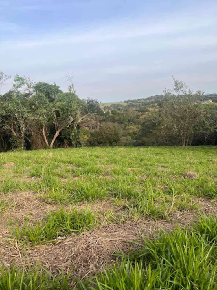 Terreno, 5000 m² - Foto 3
