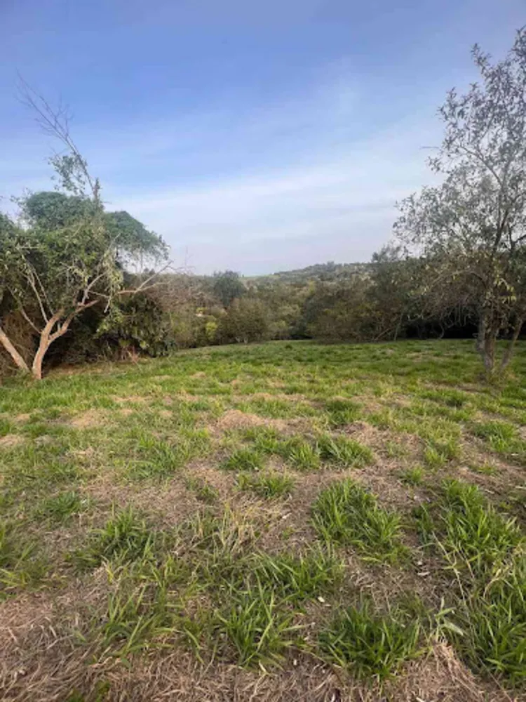 Terreno, 5000 m² - Foto 4