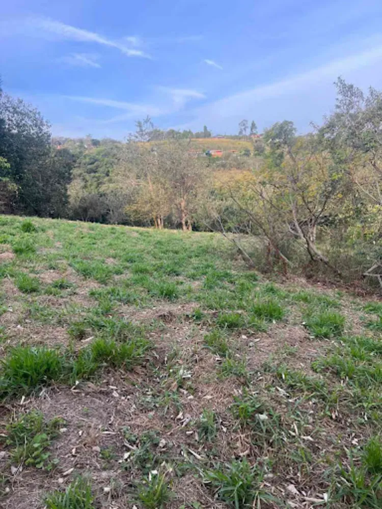 Terreno, 5000 m² - Foto 7