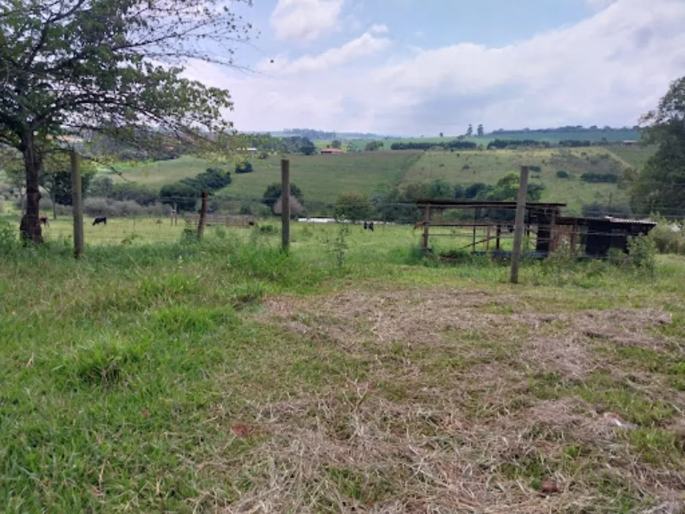 Chácara, 2 quartos, 10000 m² - Foto 2