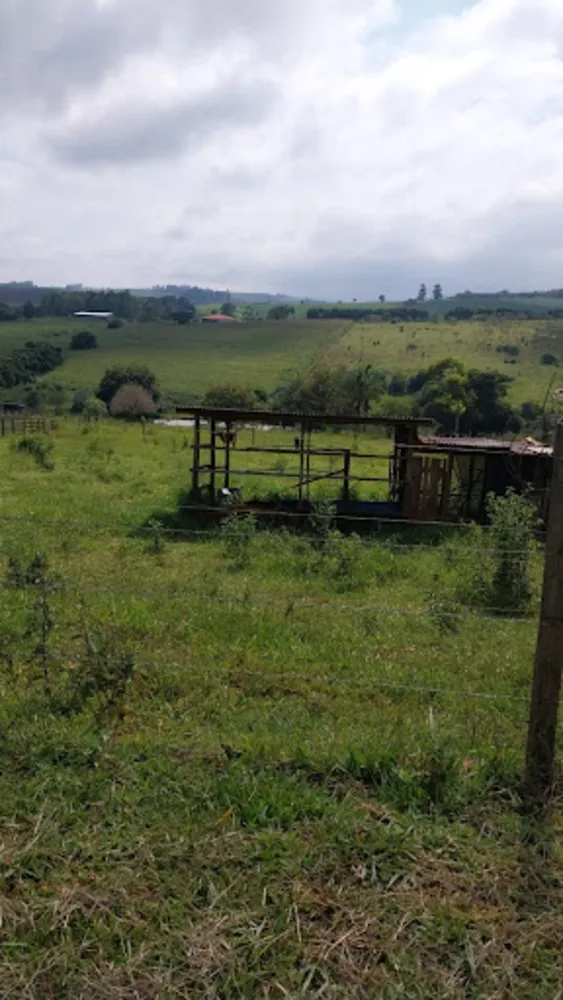 Chácara, 2 quartos, 10000 m² - Foto 7