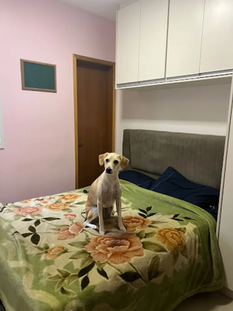 Cobertura, 2 quartos, 96 m² - Foto 5