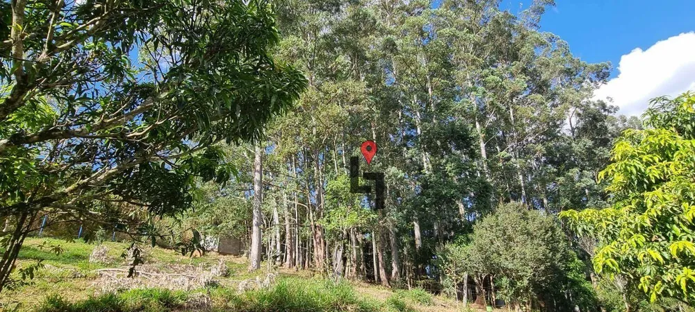Sítio, 3 quartos, 1 hectares - Foto 7
