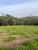 Terreno, 5000 m² - Foto 1