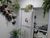 Apartamento, 2 quartos, 46 m² - Foto 3