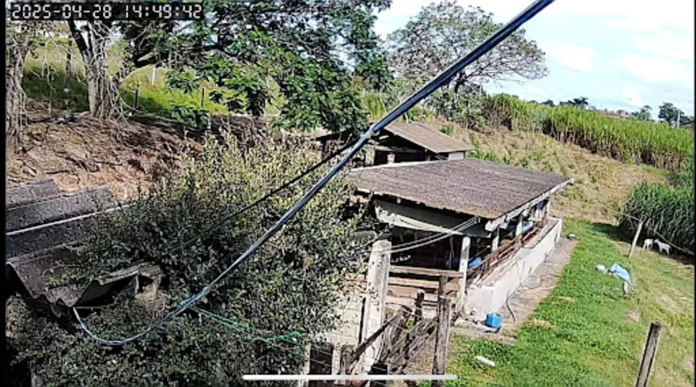 Sítio, 1 quarto, 6050 m² - Foto 10