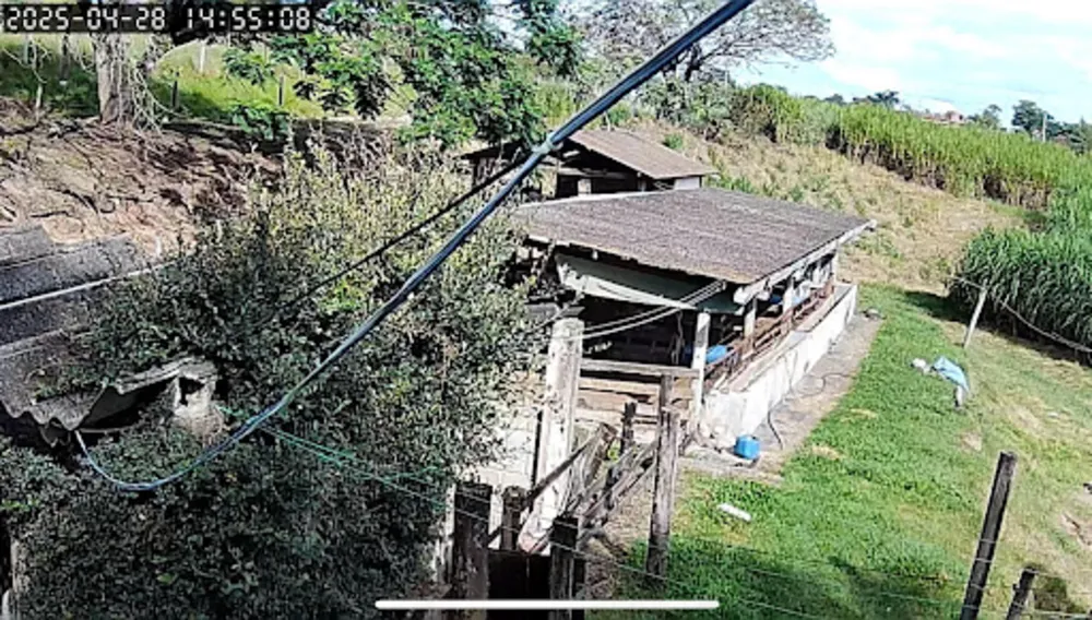 Sítio, 1 quarto, 6050 m² - Foto 5