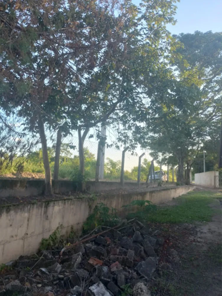 Chácara, 3 quartos, 5800 m² - Foto 3