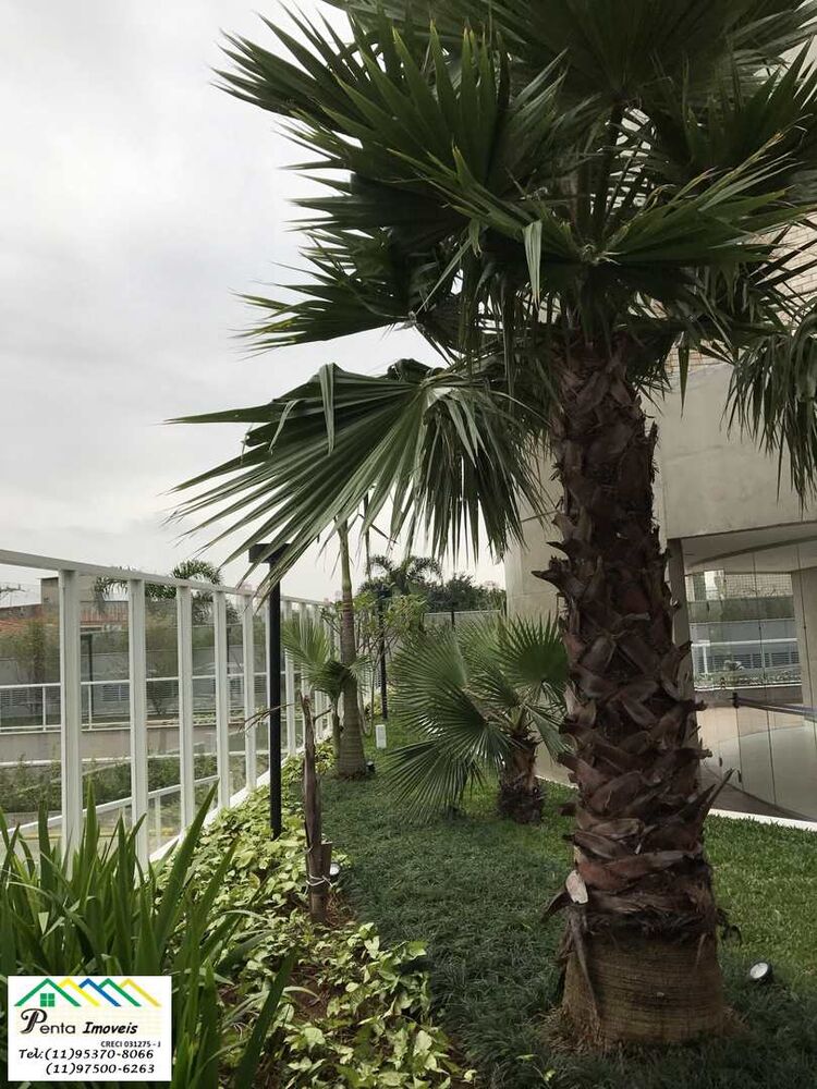 Apartamento, 3 quartos, 104 m² - Foto 4