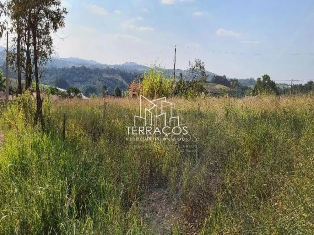 Terreno, 2462 m² - Foto 3